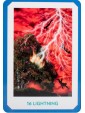 Gaian Tarot by Joanna Powell Colbert